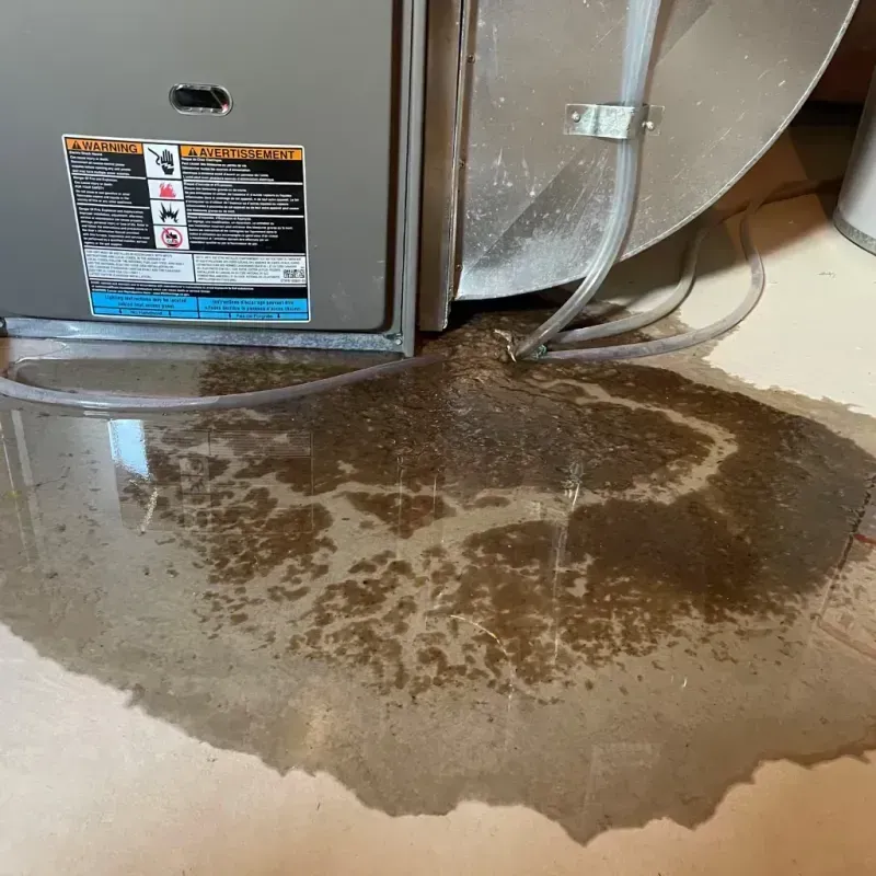 Appliance Leak Cleanup in Wahpeton, ND